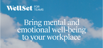wellset self-care benefit