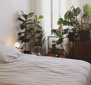 sleep rituals