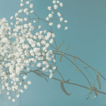 Emotional Spring Cleaning 