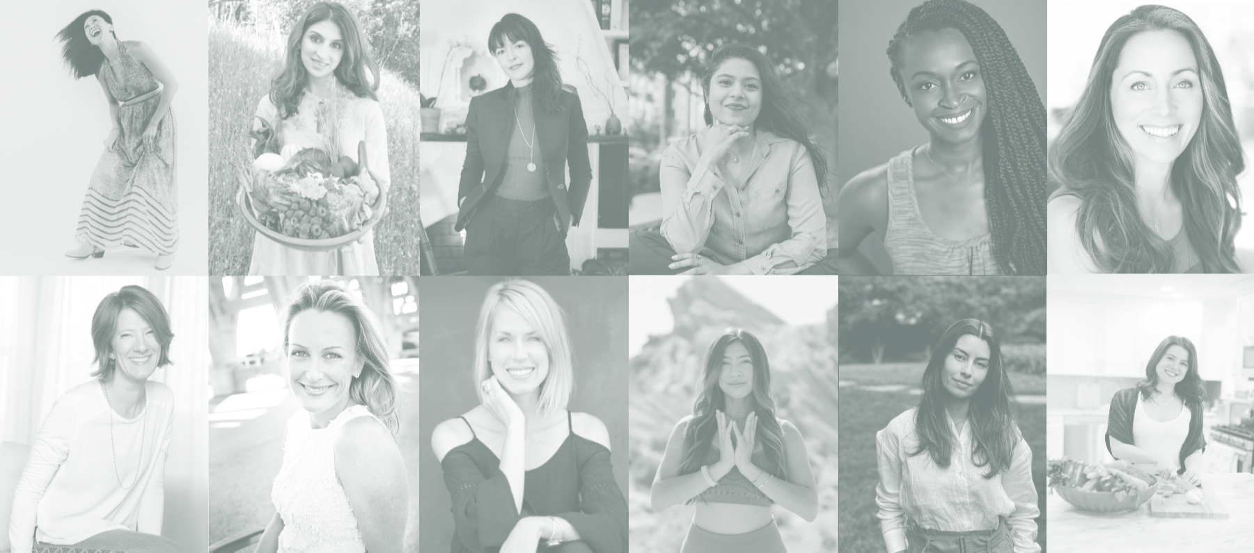 wellset instructors