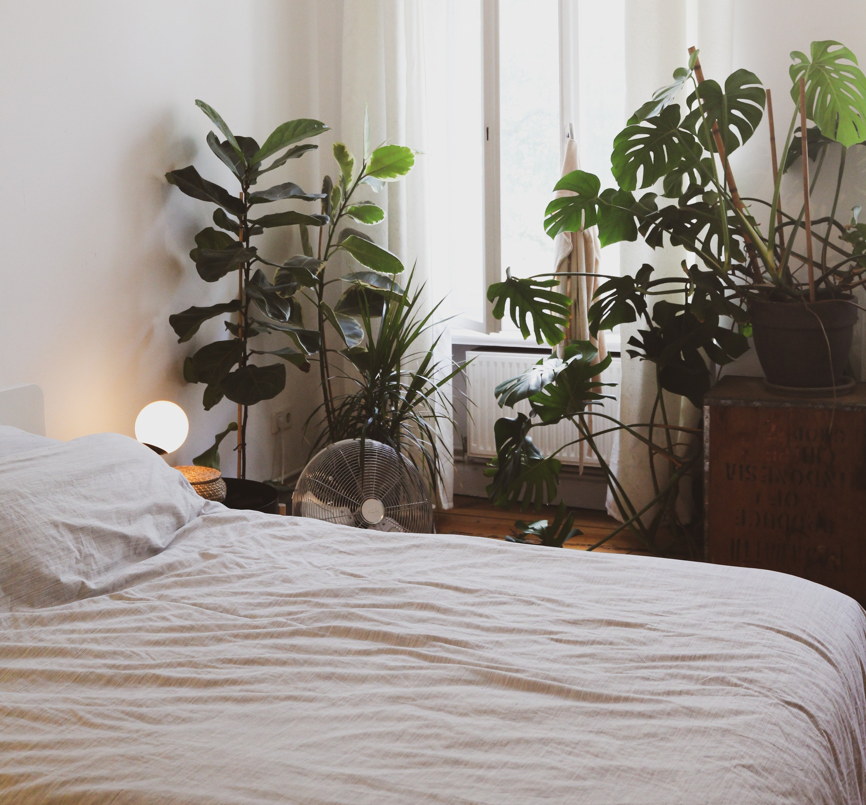 sleep rituals