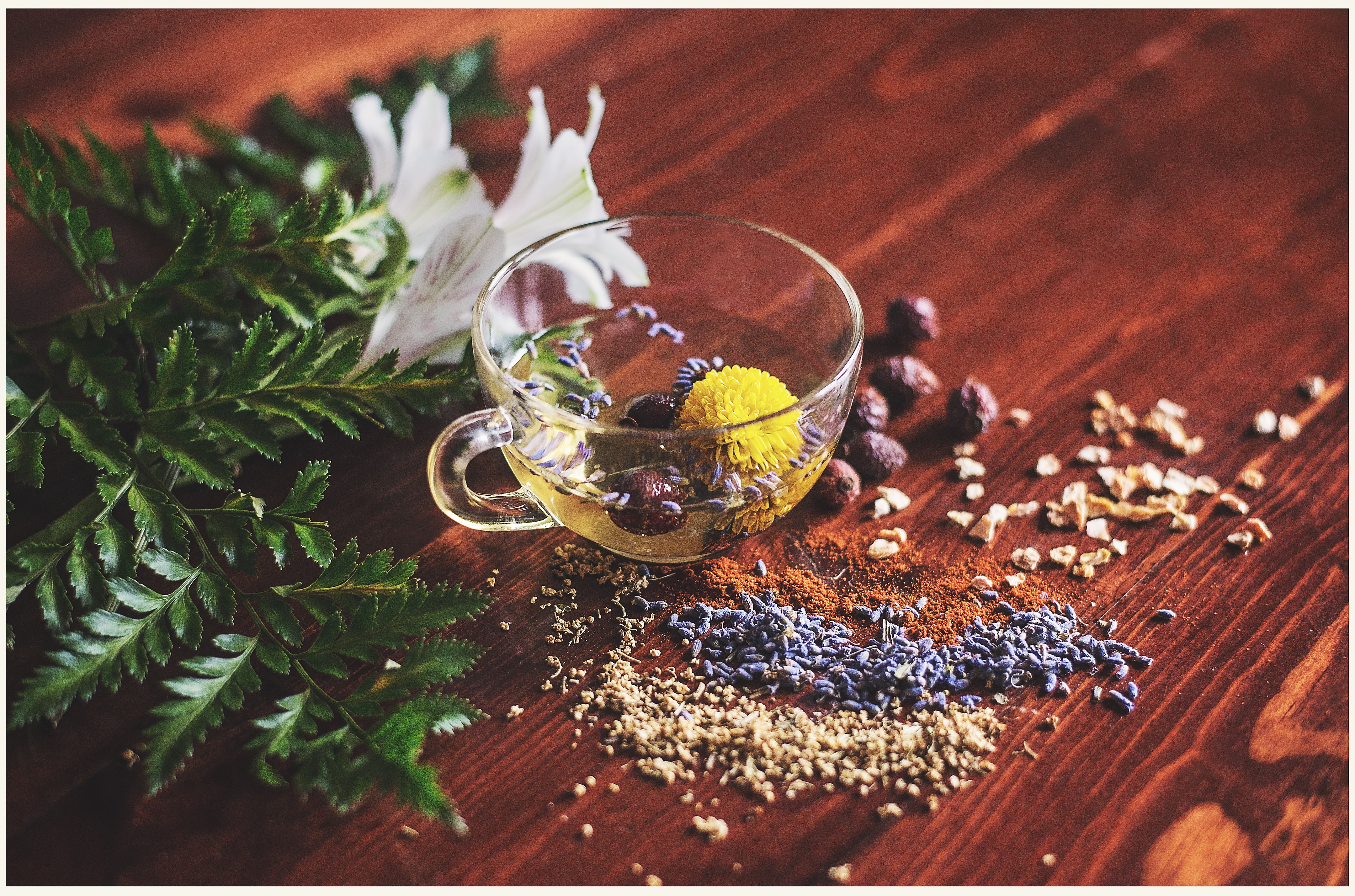 Ayurveda medicine image 