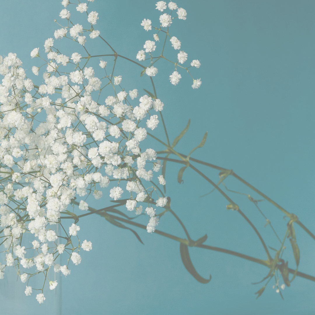 Emotional Spring Cleaning 